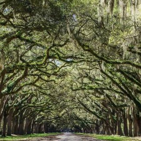 5Min To River Street, Dt - Spacious - Free Parking Savannah Exterior foto