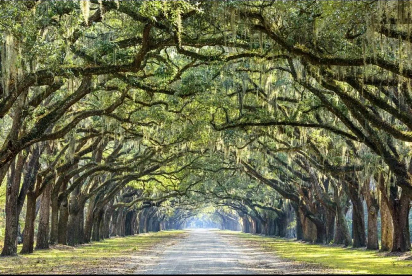 5Min To River Street, Dt - Spacious - Free Parking Savannah Exterior foto